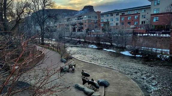 Town Hall, Train Rides, and Trees