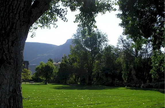 St. Patrick’s Day and Dinosaurs