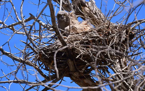 Fabric & Friends, Western on Washington, and More Earth Day-Related Golden History