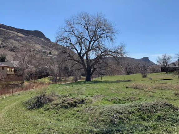 Free Clothes, Cardboard Boats, Fireworks, and Entrapment