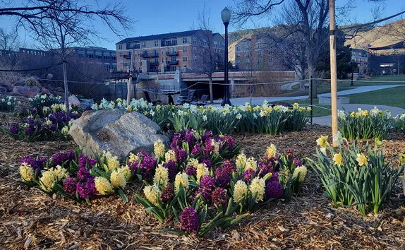 Spring Flowers, Chamber Awards, Sustainability and Railroads