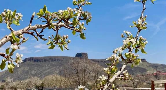 Calendar of Events in Golden – May, 2023