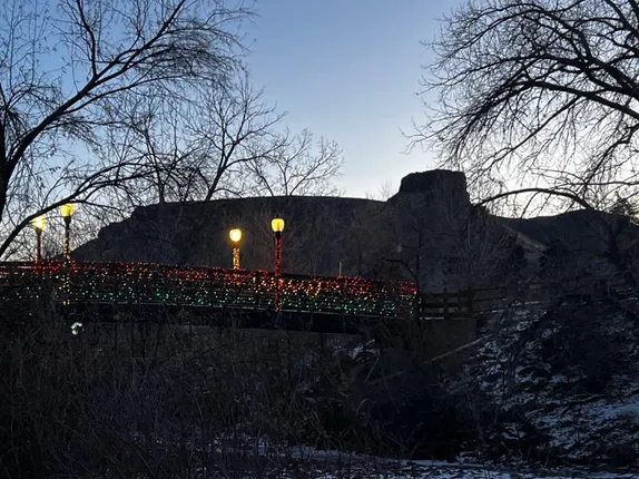 Seedlings, Textiles, and Highway 58