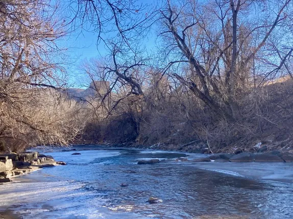 Quilting Demo, Coffee with Councilors, and the Velocity of Scrip