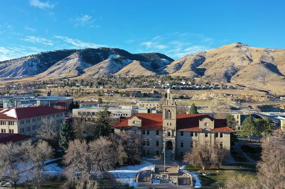 VIBE with the Chamber, Changing of the Guard at Council, and Chicken Thievery