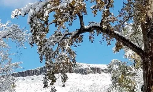 Events for Sunday, March 3rd 2024