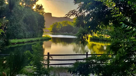 photo of the water treatment pond with Castlle Rock in the background.  Heavy summer foliage surrounds the pond.