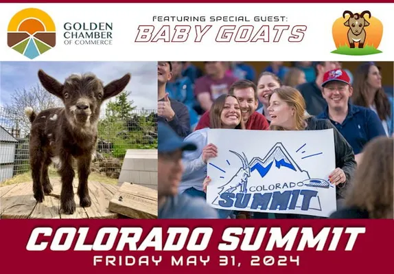 Chamber Night at the Colorado Summit Game...Plus Baby Goats!
