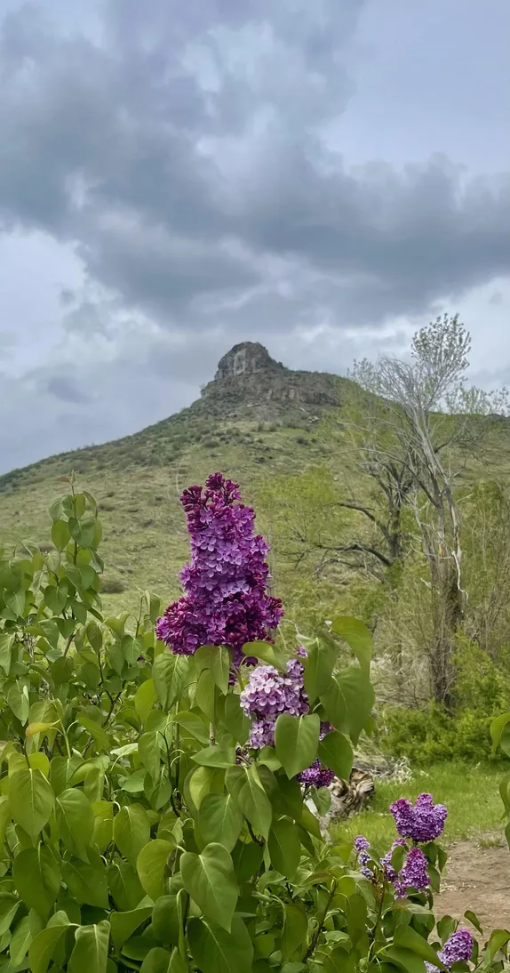 What's Happening in Golden - Saturday, May. 11th, 2024