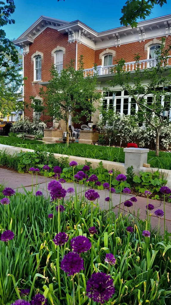 What's Happening in Golden - Thursday, May. 16th, 2024