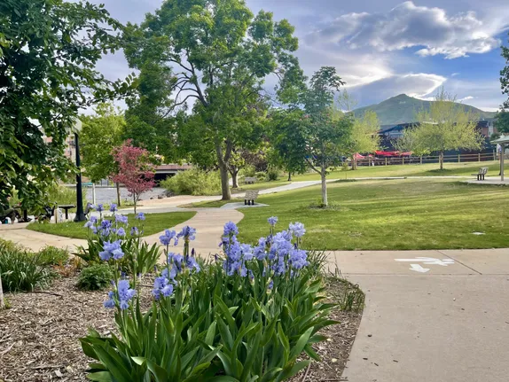 What's Happening in Golden - Thursday, May. 30th, 2024