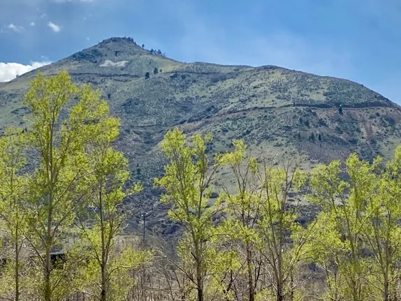 Mt. Zion with grass starting to turn green; trees with new leaves in the foreground
