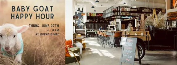 6-8PM Baby Goat Happy Hour @ Morris & Mae