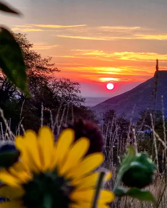 What's Happening in Golden - Thursday, Jun. 20th, 2024