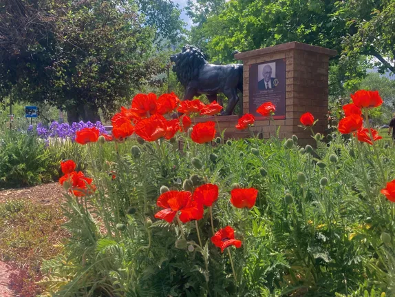 Summary of June Events