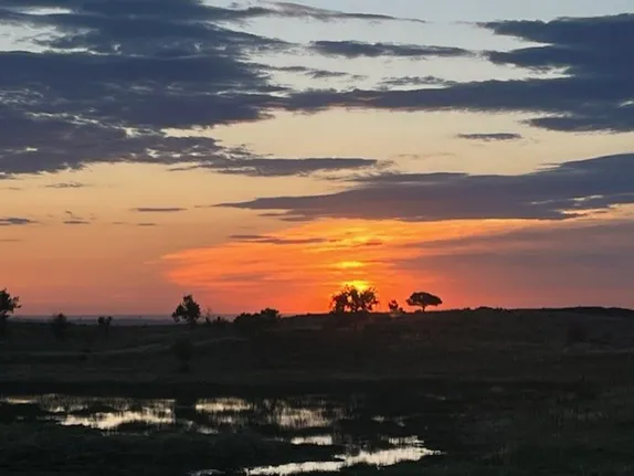 What's Happening in Golden - Tuesday, Jun. 4th, 2024