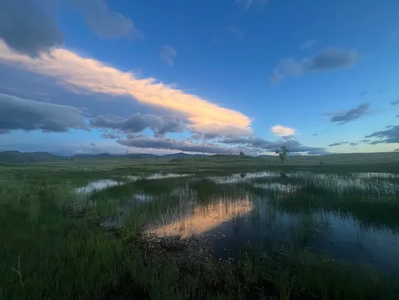 What's Happening in Golden - Thursday, Jun. 6th, 2024