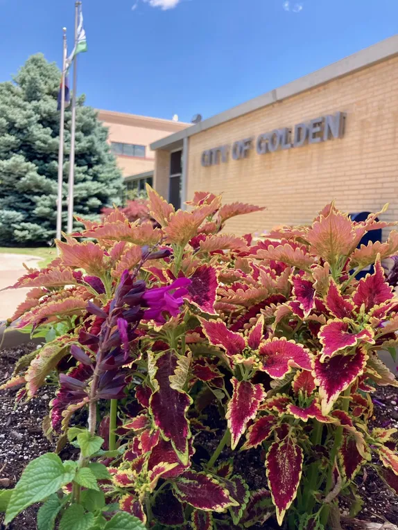 7:30AM Citizens Budget Advisory Board @ City Hall