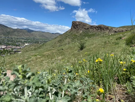 What's Happening in Golden - Saturday, Jun. 8th, 2024