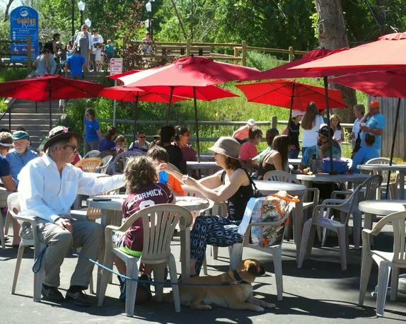 8AM-1PM Golden Farmers Market