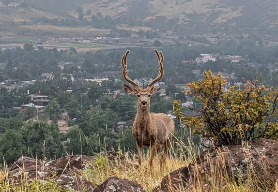 What's Happening in Golden - Tuesday, Aug. 27th, 2024