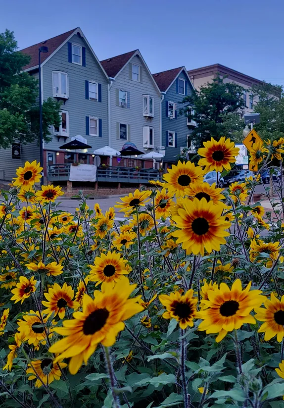 What's Happening in Golden - Wednesday, Aug. 28th, 2024