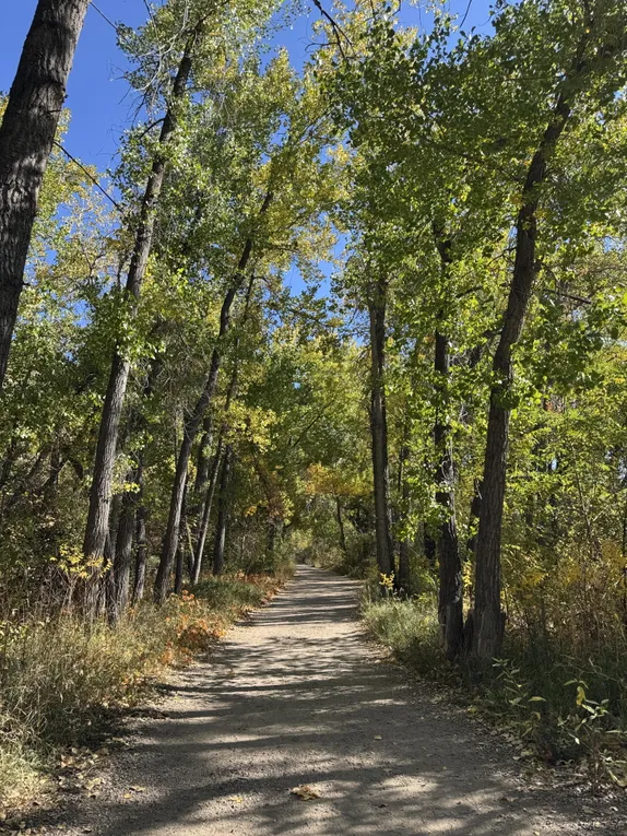 What's Happening in Golden - Thursday, Oct. 24th, 2024