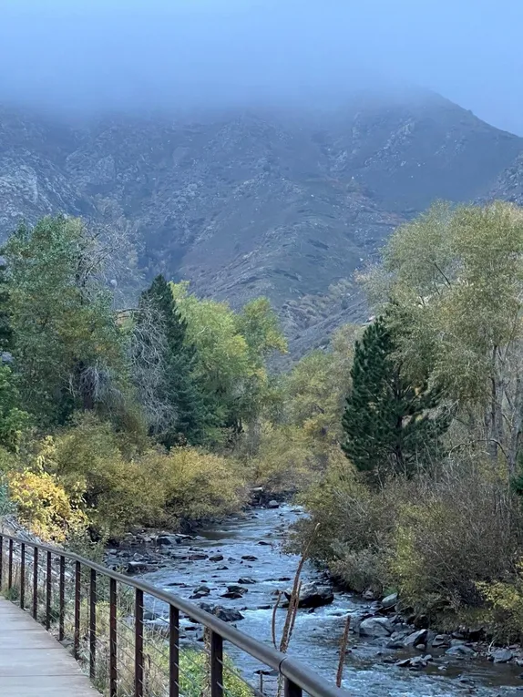 What's Happening in Golden - Monday, Nov. 4th, 2024