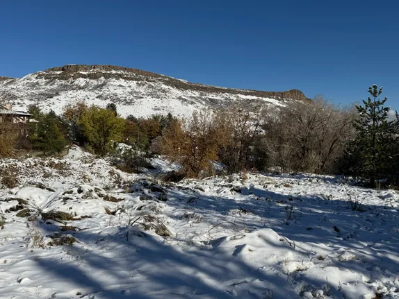 What's Happening in Golden - Wednesday, Nov. 13th, 2024