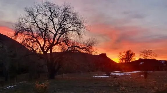 What's Happening in Golden - Friday, Nov. 29th, 2024