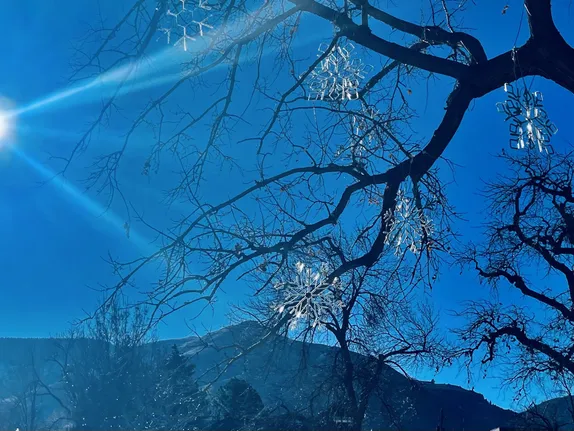 What's Happening in Golden - Friday, Dec. 6th, 2024