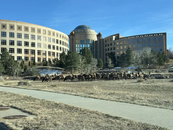 What's Happening in Golden - Thursday, Dec. 5th, 2024