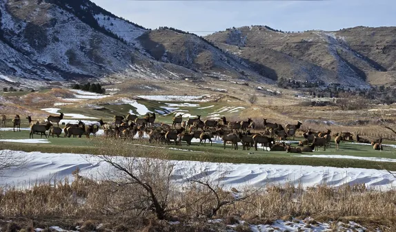 What's Happening in Golden - Tuesday, Dec. 17th, 2024