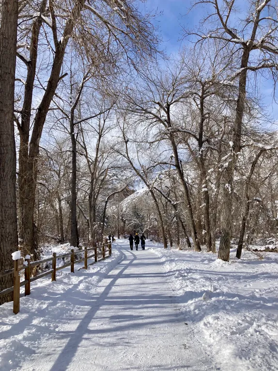 What's Happening in Golden - Wednesday, Jan. 22nd, 2025