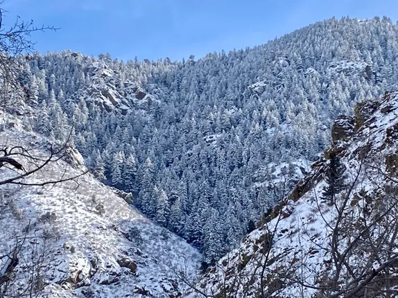 What's Happening in Golden - Wednesday, Jan. 29th, 2025