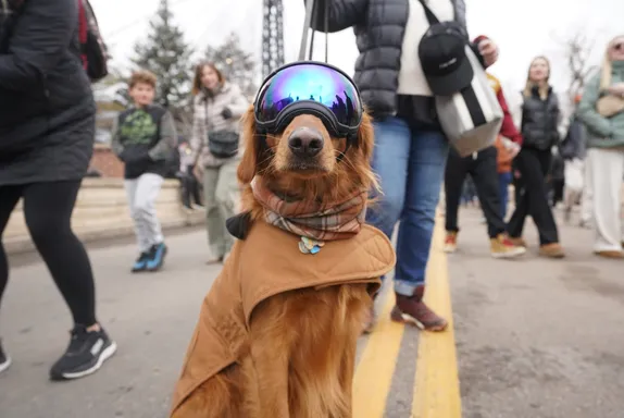 What's Happening in Golden - Sunday, Feb. 9th, 2025