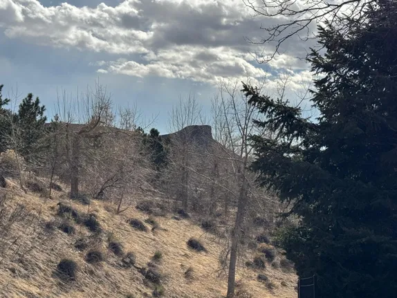 What's Happening in Golden - Thursday, Feb. 6th, 2025