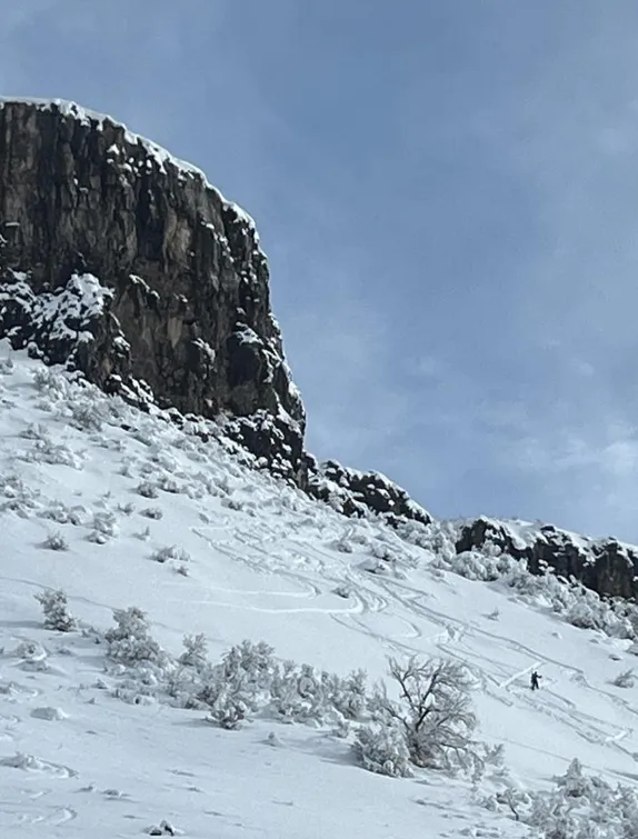 2PM Active Minds Monday: History of Skiing (Virtual)