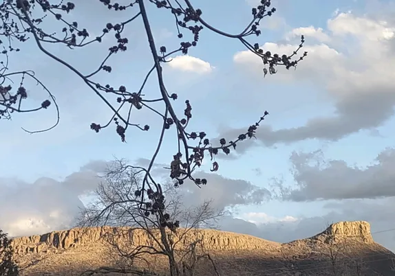 What's Happening in Golden - Thursday, Mar. 6th, 2025