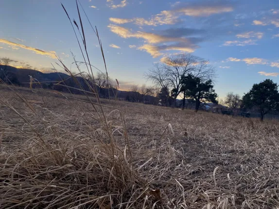 What's Happening in Golden - Monday, Mar. 3rd, 2025