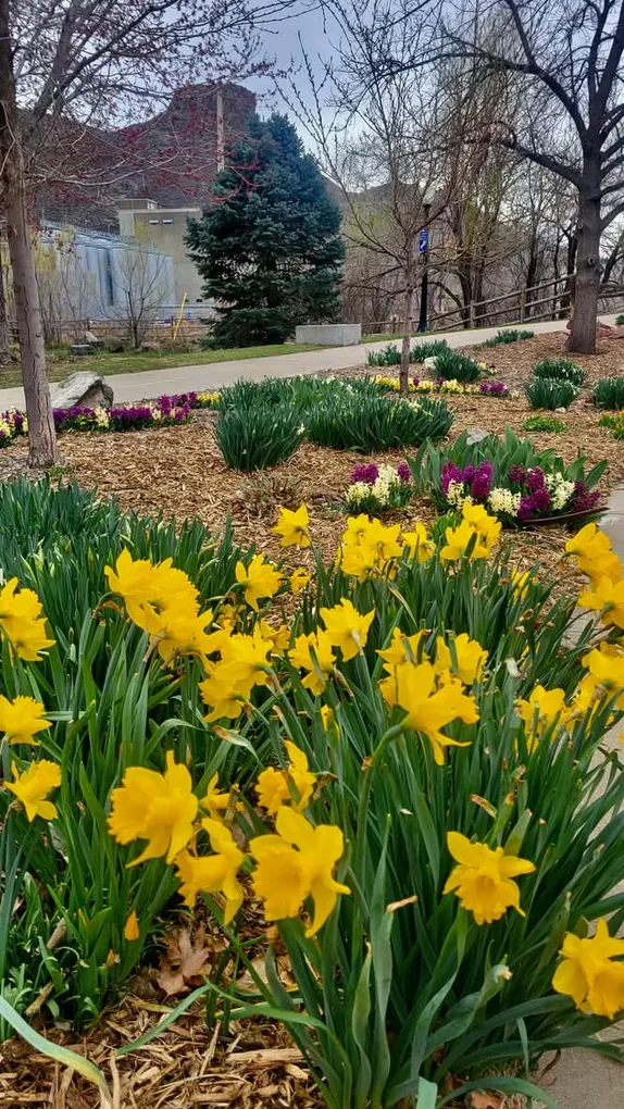 What's Happening in Golden - Friday, Apr. 4th, 2025