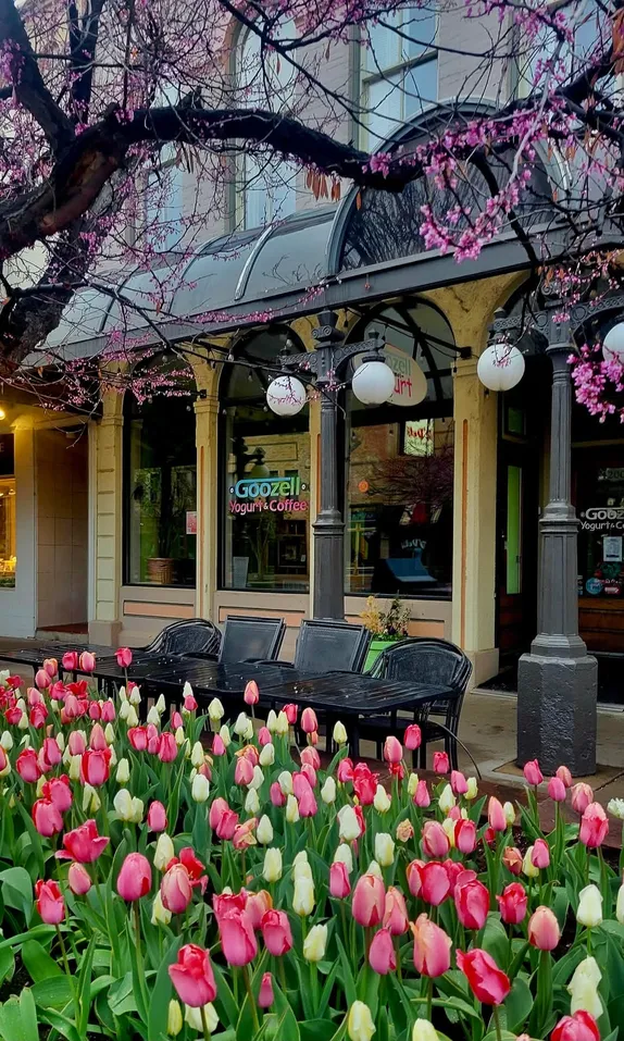 What's Happening in Golden - Sunday, Apr. 27th, 2025