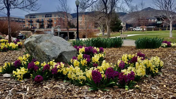 What's Happening in Golden - Saturday, Apr. 5th, 2025