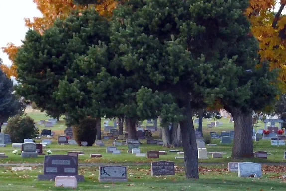 11AM-1PM Arbor Day with the City of Golden @ Golden Cemetery