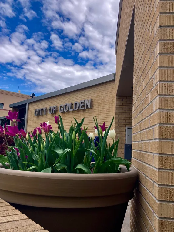 9:45AM FIRST Arts & Culture Commission Meeting @ City Hall