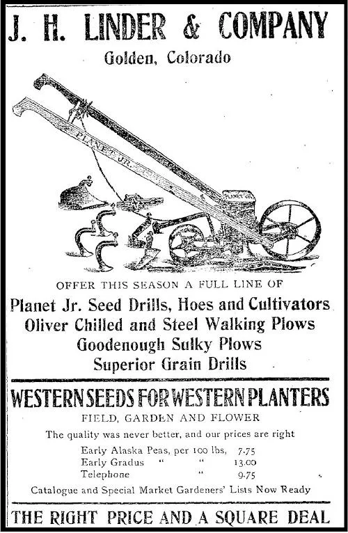 Gardening Inspiration and Two Cautionary Tales