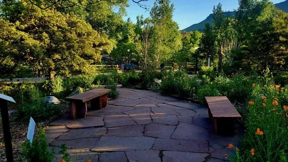 Summary of June Events