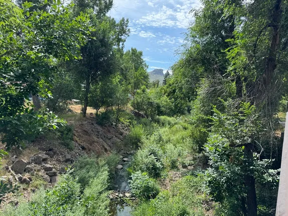 What's Happening in Golden - Tuesday, Jul. 22nd, 2025