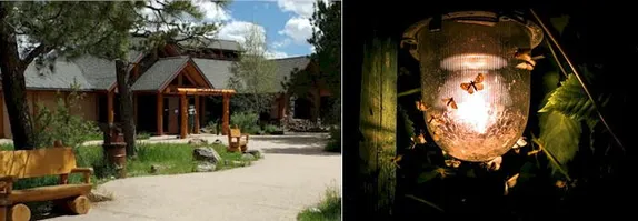 6:30-9:30PM Nature Journal Club: Moth Madness @ Lookout Mtn Nature Center