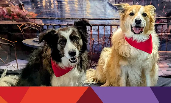 12-1PM Art Theft: A Dog Comedy starring Joey & Kira @ Golden Library